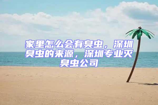 家里怎么會有臭蟲,深圳臭蟲的來源,深圳專業滅臭蟲公司