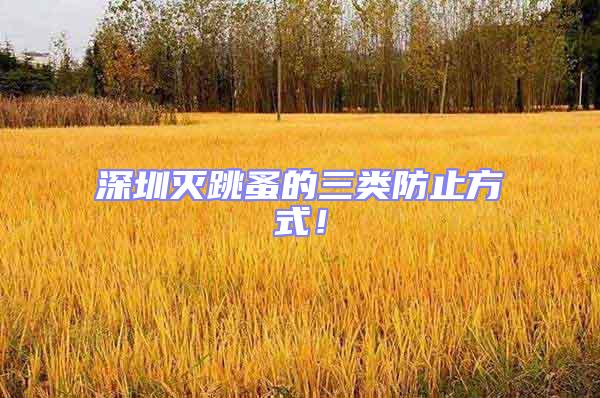 深圳滅跳蚤的三類防止方式！