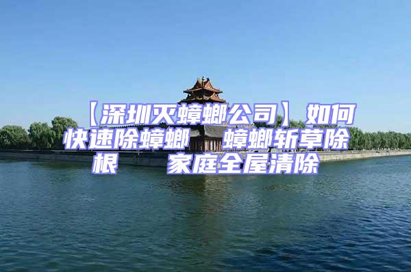 【深圳滅蟑螂公司】如何快速除蟑螂 蟑螂斬草除根 家庭全屋清除