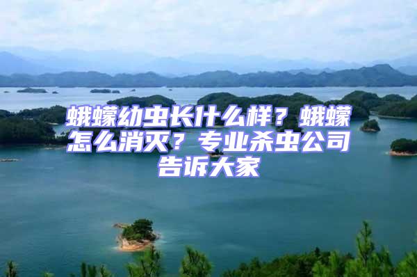 蛾蠓幼蟲長什么樣?蛾蠓怎么消滅?專業(yè)殺蟲公司告訴大家