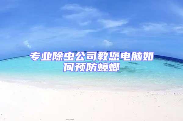 專業(yè)除蟲公司教您電腦如何預(yù)防蟑螂