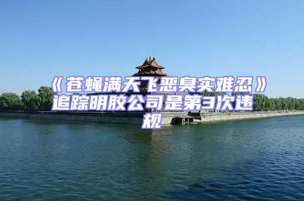 《蒼蠅滿天飛惡臭實難忍》追蹤明膠公司是第3次違規