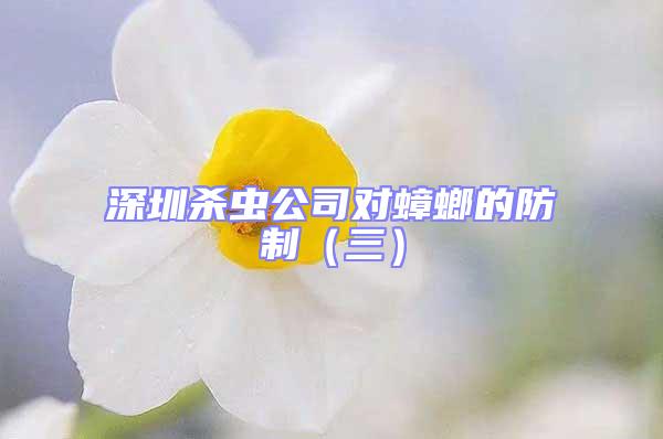 深圳殺蟲公司對蟑螂的防制(三)