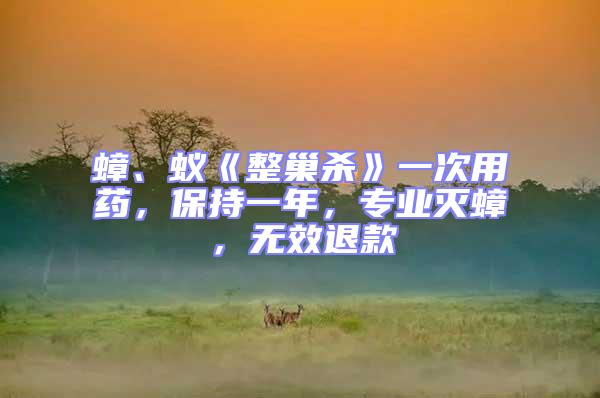 蟑、蟻《整巢殺》一次用藥,保持一年,專業滅蟑,無效退款