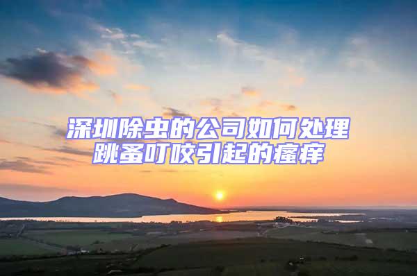 深圳除蟲的公司如何處理跳蚤叮咬引起的瘙癢