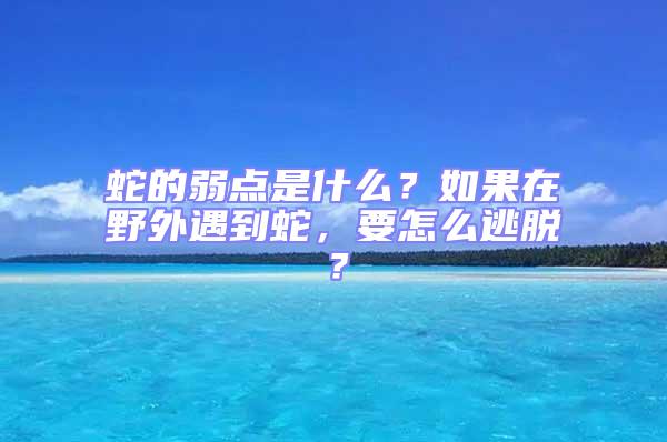 蛇的弱點是什么?如果在野外遇到蛇,要怎么逃脫?