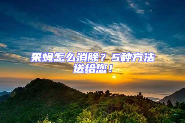果蠅怎么消除？5種方法送給您！