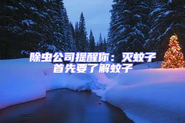 除蟲公司提醒你:滅蚊子首先要了解蚊子