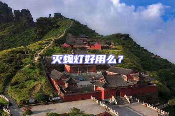 滅蠅燈好用么？