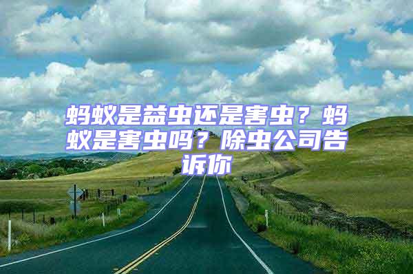 螞蟻是益蟲還是害蟲?螞蟻是害蟲嗎?除蟲公司告訴你