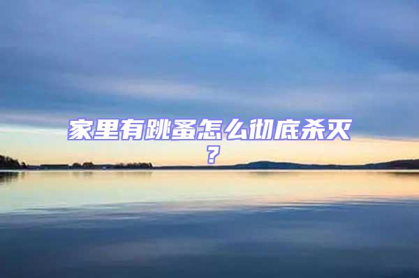 家里有跳蚤怎么徹底殺滅?