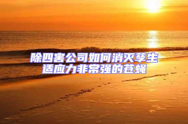 除四害公司如何消滅孳生適應力非常強的蒼蠅