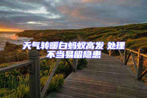 天氣轉暖白螞蟻高發 處理不當易留隱患