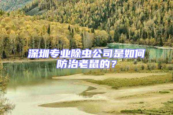 深圳專業(yè)除蟲(chóng)公司是如何防治老鼠的?