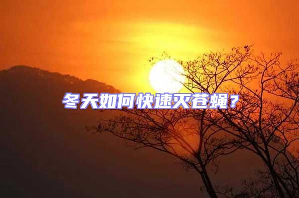 冬天如何快速滅蒼蠅?