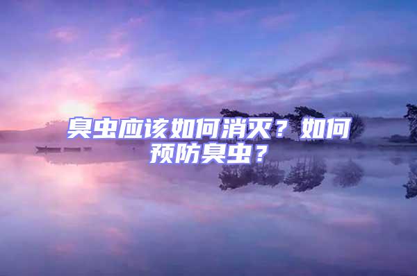 臭蟲應(yīng)該如何消滅？如何預(yù)防臭蟲？