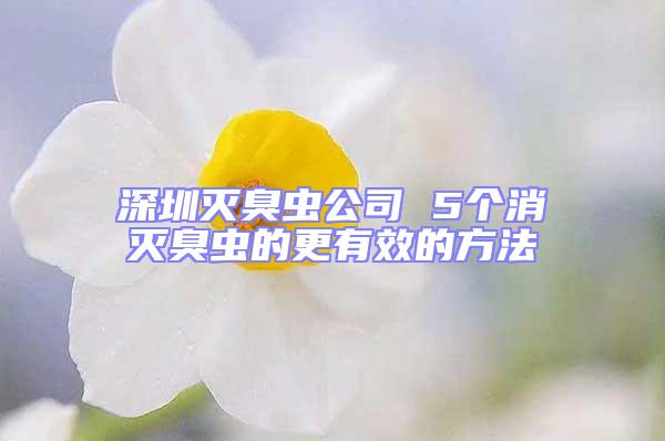 深圳滅臭蟲(chóng)公司 5個(gè)消滅臭蟲(chóng)的更有效的方法