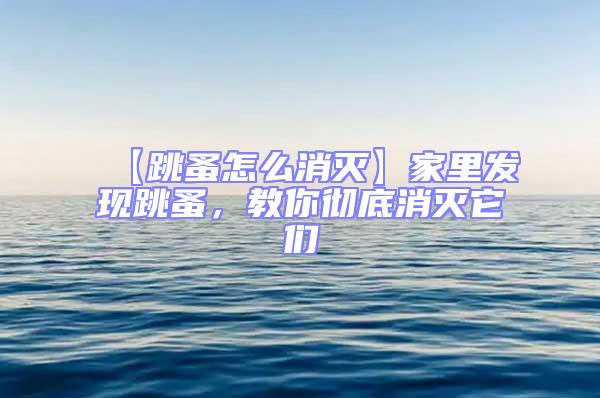 【跳蚤怎么消滅】家里發現跳蚤,教你徹底消滅它們
