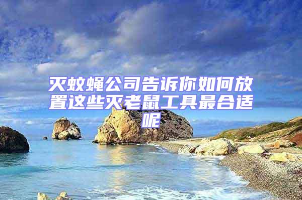滅蚊蠅公司告訴你如何放置這些滅老鼠工具最合適呢