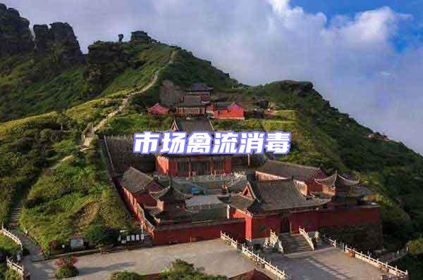 市場(chǎng)禽流消毒