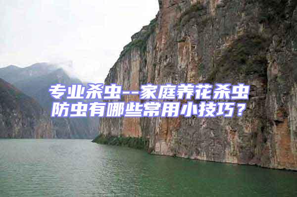 專業(yè)殺蟲--家庭養(yǎng)花殺蟲防蟲有哪些常用小技巧?