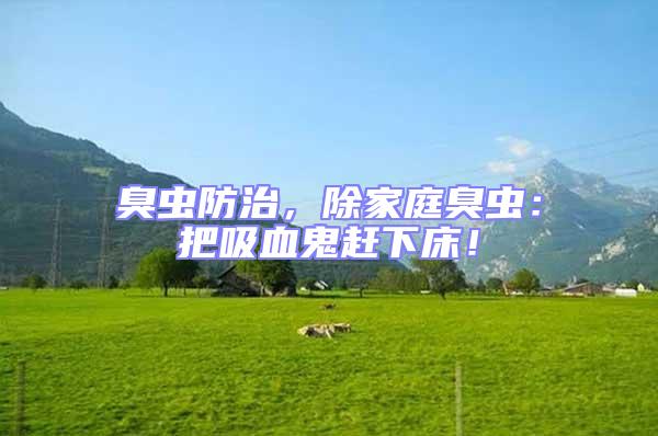 臭蟲(chóng)防治,除家庭臭蟲(chóng):把吸血鬼趕下床!