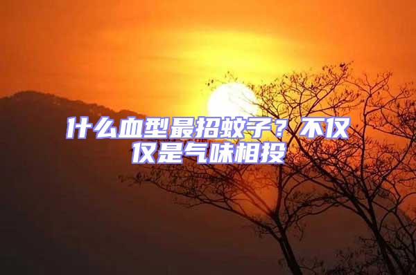 什么血型最招蚊子？不僅僅是氣味相投