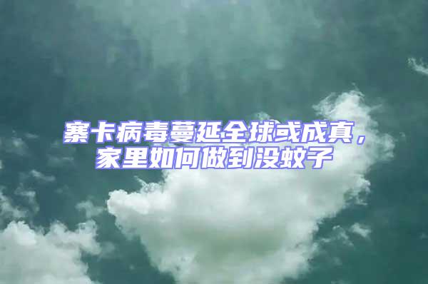 寨卡病毒蔓延全球或成真,家里如何做到沒蚊子