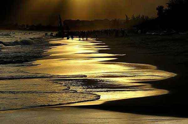 殺蟑螂公司聊聊室內發現蟑螂如何消滅?