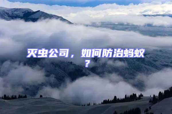 滅蟲公司，如何防治螞蟻？