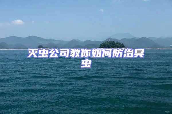 滅蟲公司教你如何防治臭蟲