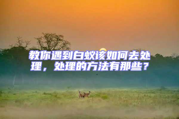 教你遇到白蟻該如何去處理，處理的方法有那些？