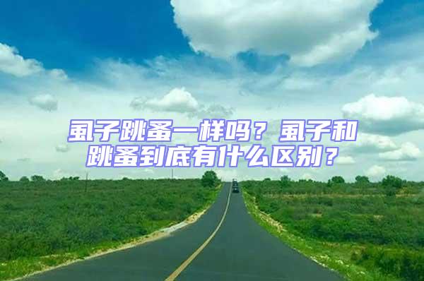 虱子跳蚤一樣嗎？虱子和跳蚤到底有什么區別？