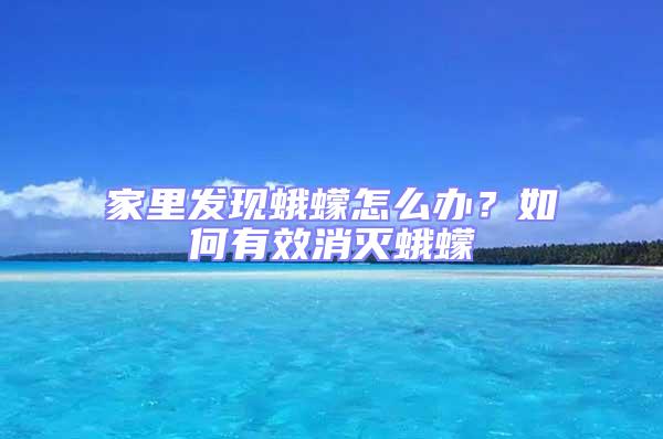 家里發(fā)現(xiàn)蛾蠓怎么辦？如何有效消滅蛾蠓