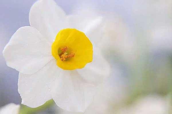 【除臭蟲公司】為什么臭蟲能耐得住“饑寒交迫”?