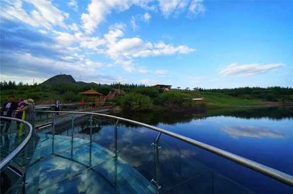 滅蟲公司教你如何快速消滅螞蟻