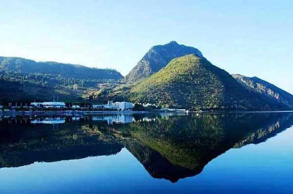 辦公室發現老鼠怎么辦？滅鼠公司出高招