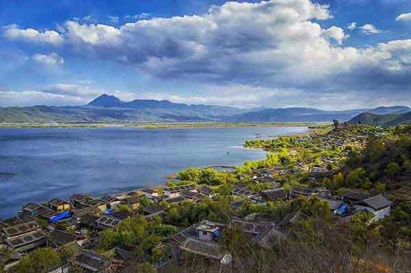 深圳滅螞蟻公司提示如何正確防治螞蟻？