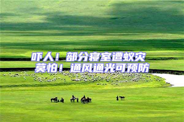 嚇人！部分寢室遭蟻災 莫怕！通風通光可預防