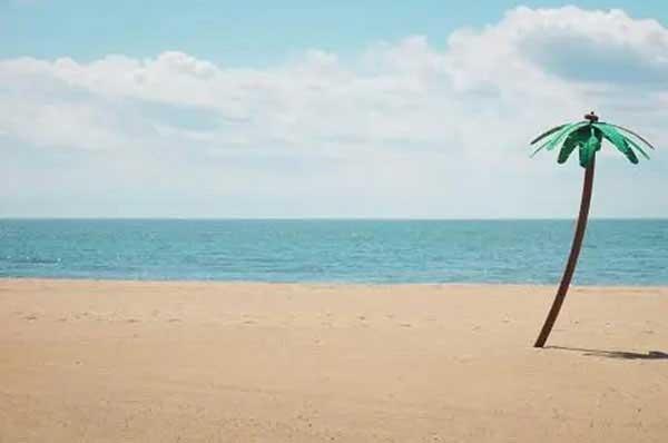 深圳白蟻防治:預防為主、防治結合、綜合治理