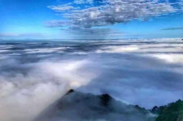 別拿蚊子不當(dāng)回事兒,它們的危害可不止讓你癢得難受!