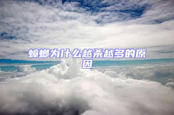 蟑螂為什么越殺越多的原因