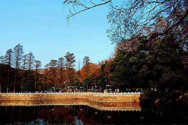 小孩不小心吞下蟑螂藥,搶救及時(shí)無大礙