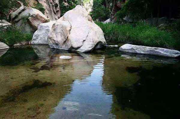 深圳消殺哪里有殺白蟻,居民如何預防白蟻