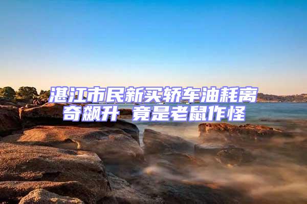 湛江市民新買(mǎi)轎車(chē)油耗離奇飆升 竟是老鼠作怪