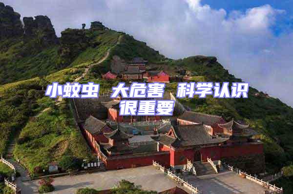 小蚊蟲 大危害 科學認識很重要