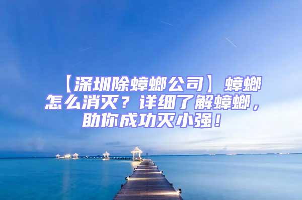 【深圳除蟑螂公司】蟑螂怎么消滅?詳細(xì)了解蟑螂,助你成功滅小強(qiáng)!