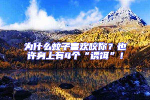 為什么蚊子喜歡咬你?也許身上有4個“誘餌”!