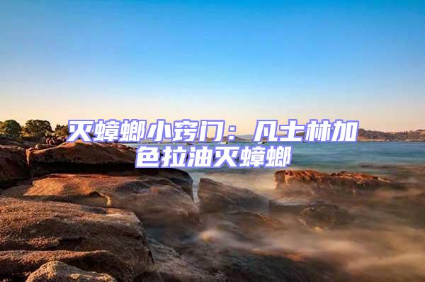 滅蟑螂小竅門：凡士林加色拉油滅蟑螂