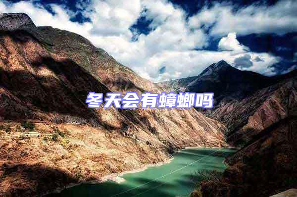 冬天會(huì)有蟑螂嗎